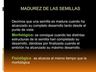 MADUREZ DE LAS SEMILLAS
Decimos que una semilla es madura cuando ha
alcanzado su completo desarrollo tanto desde el
punto de vista:
Morfológico: se consigue cuando las distintas
estructuras de la semilla han completado su
desarrollo, dándose por finalizada cuando el
embrión ha alcanzado su máximo desarrollo.
Fisiológico: se alcanza al mismo tiempo que la
morfológica
 