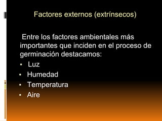 Factores externos (extrínsecos)
Entre los factores ambientales más
importantes que inciden en el proceso de
germinación destacamos:
▪ Luz
▪ Humedad
▪ Temperatura
▪ Aire
 