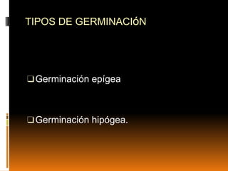 TIPOS DE GERMINACIóN
❑Germinación epígea
❑Germinación hipógea.
 