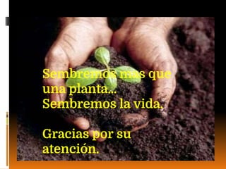 Sembremos mas que
una planta…
Sembremos la vida.
Gracias por su
atención.
 