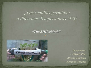 “The SHINeMesh”




                         Integrantes:
                       - Abigail Pino
                   -Alisson Martínez
                  -Katalina Venegas
 