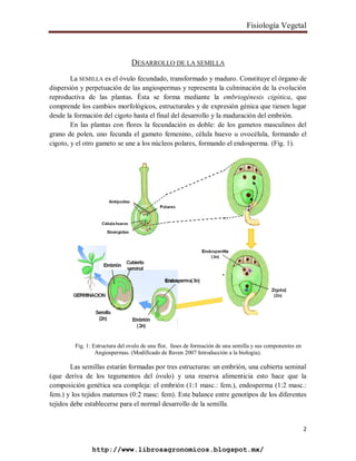 GERMINACION DE SEMILLAS.pdf