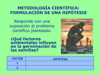 METODOLOGÍA CIENTÍFICA:
FORMULACIÓN DE UNA HIPÓTESIS

  Responde con una
suposición al problema
 científico planteado:

¿Qué factores
ambientales influyen
en la germinación de
las semillas?

 FACTOR              HIPÓTESIS
    1
    2
 