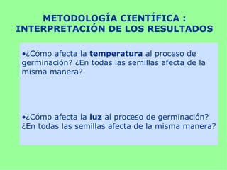 METODOLOGÍA CIENTÍFICA :
INTERPRETACIÓN DE LOS RESULTADOS

•¿Cómo afecta la temperatura al proceso de
germinación? ¿En todas las semillas afecta de la
misma manera?




•¿Cómo afecta la luz al proceso de germinación?
¿En todas las semillas afecta de la misma manera?
 