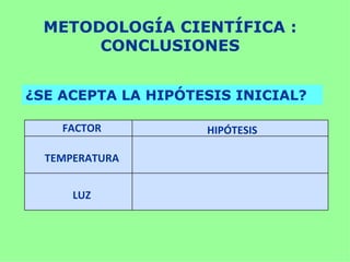 METODOLOGÍA CIENTÍFICA :
       CONCLUSIONES


¿SE ACEPTA LA HIPÓTESIS INICIAL?

    FACTOR          HIPÓTESIS

  TEMPERATURA


      LUZ
 