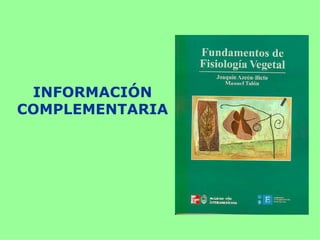 INFORMACIÓN
COMPLEMENTARIA
 