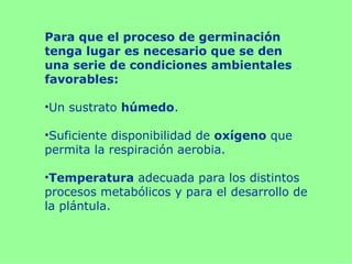 Para que el proceso de germinación
tenga lugar es necesario que se den
una serie de condiciones ambientales
favorables:

•Un sustrato húmedo.

•Suficiente disponibilidad de oxígeno que
permita la respiración aerobia.

•Temperatura adecuada para los distintos
procesos metabólicos y para el desarrollo de
la plántula.
 