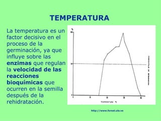 TEMPERATURA
La temperatura es un
factor decisivo en el
proceso de la
germinación, ya que
influye sobre las
enzimas que regulan
la velocidad de las
reacciones
bioquímicas que
ocurren en la semilla
después de la
rehidratación.
                        http://www.forest.ula.ve
 