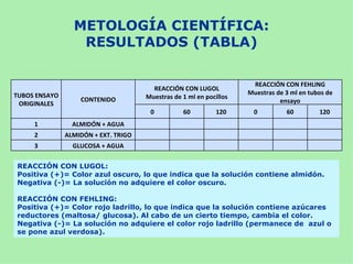 METOLOGÍA CIENTÍFICA:
                  RESULTADOS (TABLA)

                                                                      REACCIÓN CON FEHLING
                                        REACCIÓN CON LUGOL
TUBOS ENSAYO                                                         Muestras de 3 ml en tubos de
                   CONTENIDO          Muestras de 1 ml en pocillos
 ORIGINALES                                                                    ensayo
                                       0          60          120      0         60         120
     1           ALMIDÓN + AGUA
     2         ALMIDÓN + EXT. TRIGO
     3           GLUCOSA + AGUA


REACCIÓN CON LUGOL:
Positiva (+)= Color azul oscuro, lo que indica que la solución contiene almidón.
Negativa (-)= La solución no adquiere el color oscuro.

REACCIÓN CON FEHLING:
Positiva (+)= Color rojo ladrillo, lo que indica que la solución contiene azúcares
reductores (maltosa/ glucosa). Al cabo de un cierto tiempo, cambia el color.
Negativa (-)= La solución no adquiere el color rojo ladrillo (permanece de azul o
se pone azul verdosa).
 