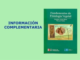 INFORMACIÓN
COMPLEMENTARIA
 