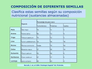 COMPOSICIÓN DE DIFERENTES SEMILLAS
 Clasifica estas semillas según su composición
 nutricional (sustancias almacenadas)



Maíz

Avena

Trigo

Lino

Ricino

Colza

Guisante

Garbanzo

Lenteja

           Barceló, J. et, al 1984. Fisiología Vegetal” Ed. Pirámide.
 