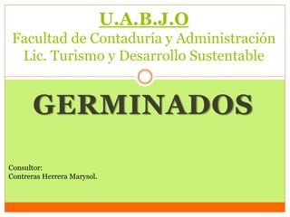 GERMINADOS
U.A.B.J.O
Facultad de Contaduría y Administración
Lic. Turismo y Desarrollo Sustentable
Consultor:
Contreras Herrera Marysol.
 