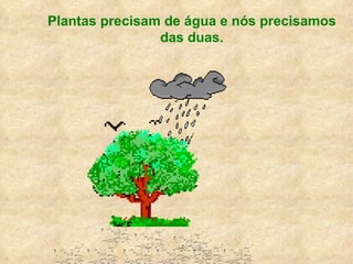 Plantas precisam de água e nós precisamos das duas. 