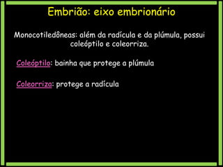 Embrião: eixo embrionário
Monocotiledôneas: além da radícula e da plúmula, possui
coleóptilo e coleorriza.
Coleóptilo: bainha que protege a plúmula

Coleorriza: protege a radícula

 