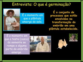 Entrevista: O que é germinação?
É o momento em
que a plântula
emerge do solo.

É o momento em
que a testa (casca)
da semente se
rompe e alguma
parte do embrião
emerge.

É o conjunto de
processos que estão
envolvidos na
transformação do
embrião em uma
plântula estabelecida.

 