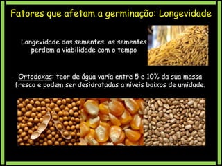 Fatores que afetam a germinação: Longevidade
Longevidade das sementes: as sementes
perdem a viabilidade com o tempo

Ortodoxas: teor de água varia entre 5 e 10% da sua massa
fresca e podem ser desidratadas a níveis baixos de umidade.

 