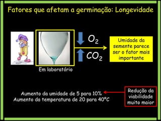 Fatores que afetam a germinação: Longevidade

O2
CO2

Umidade da
semente parece
ser o fator mais
importante

Em laboratório

Aumento da umidade de 5 para 10%
Aumento da temperatura de 20 para 40ºC

Redução da
viabilidade
muito maior

 