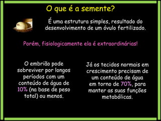 O que é a semente?
É uma estrutura simples, resultado do
desenvolvimento de um óvulo fertilizado.
Porém, fisiologicamente ela é extraordinárias!
O embrião pode
sobreviver por longos
períodos com um
conteúdo de água de
10% (na base de peso
total) ou menos.

Já os tecidos normais em
crescimento precisam de
um conteúdo de água
em torno de 70%, para
manter as suas funções
metabólicas.

 