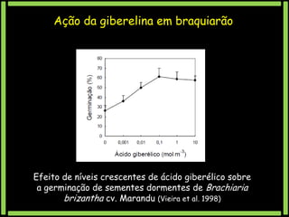 Ação da giberelina em braquiarão

Efeito de níveis crescentes de ácido giberélico sobre
a germinação de sementes dormentes de Brachiaria
brizantha cv. Marandu (Vieira et al. 1998)

 