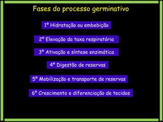 Fases do processo germinativo
1º Hidratação ou embebição
2º Elevação da taxa respiratória
3º Ativação e síntese enzimática
4º Digestão de reservas
5º Mobilização e transporte de reservas
6º Crescimento e diferenciação de tecidos

 