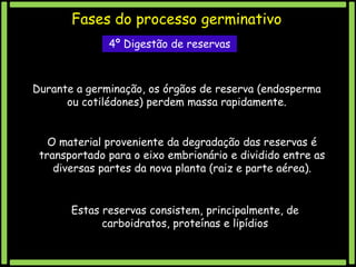 Fases do processo germinativo
4º Digestão de reservas

Durante a germinação, os órgãos de reserva (endosperma
ou cotilédones) perdem massa rapidamente.
O material proveniente da degradação das reservas é
transportado para o eixo embrionário e dividido entre as
diversas partes da nova planta (raiz e parte aérea).
Estas reservas consistem, principalmente, de
carboidratos, proteínas e lipídios

 
