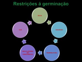 ÁGUA




LUZ                                 OXIGÊNIO




      REGULADORES
          DO               TEMPERATURA
      CRESCIMENTO
 