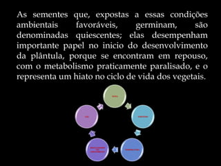As sementes que, expostas a essas condições
ambientais    favoráveis,      germinam,      são
denominadas quiescentes; elas desempenham
importante papel no inicio do desenvolvimento
da plântula, porque se encontram em repouso,
com o metabolismo praticamente paralisado, e o
representa um hiato no ciclo de vida dos vegetais.

                                     ÁGUA




                 LUZ                                 OXIGÊNIO




                       REGULADORES
                            DO              TEMPERATURA
                       CRESCIMENTO
 