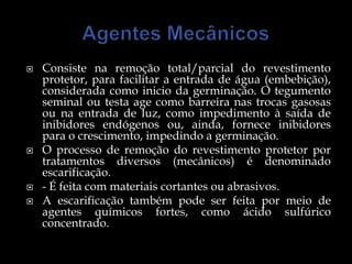    Consiste na remoção total/parcial do revestimento
    protetor, para facilitar a entrada de água (embebição),
    considerada como inicio da germinação. O tegumento
    seminal ou testa age como barreira nas trocas gasosas
    ou na entrada de luz, como impedimento à saída de
    inibidores endógenos ou, ainda, fornece inibidores
    para o crescimento, impedindo a germinação.
   O processo de remoção do revestimento protetor por
    tratamentos diversos (mecânicos) é denominado
    escarificação.
   - É feita com materiais cortantes ou abrasivos.
   A escarificação também pode ser feita por meio de
    agentes químicos fortes, como ácido sulfúrico
    concentrado.
 
