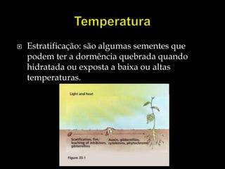    Estratificação: são algumas sementes que
    podem ter a dormência quebrada quando
    hidratada ou exposta a baixa ou altas
    temperaturas.
 