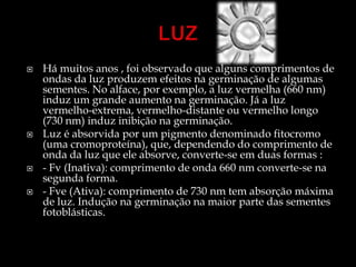    Há muitos anos , foi observado que alguns comprimentos de
    ondas da luz produzem efeitos na germinação de algumas
    sementes. No alface, por exemplo, a luz vermelha (660 nm)
    induz um grande aumento na germinação. Já a luz
    vermelho-extrema, vermelho-distante ou vermelho longo
    (730 nm) induz inibição na germinação.
   Luz é absorvida por um pigmento denominado fitocromo
    (uma cromoproteína), que, dependendo do comprimento de
    onda da luz que ele absorve, converte-se em duas formas :
   - Fv (Inativa): comprimento de onda 660 nm converte-se na
    segunda forma.
   - Fve (Ativa): comprimento de 730 nm tem absorção máxima
    de luz. Indução na germinação na maior parte das sementes
    fotoblásticas.
 