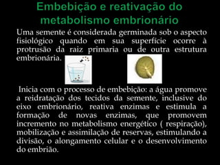 Uma semente é considerada germinada sob o aspecto
fisiológico quando em sua superfície ocorre à
protrusão da raiz primaria ou de outra estrutura
embrionária.


 Inicia com o processo de embebição: a água promove
a reidratação dos tecidos da semente, inclusive do
eixo embrionário, reativa enzimas e estimula a
formação de novas enzimas, que promovem
incremento no metabolismo energético ( respiração),
mobilização e assimilação de reservas, estimulando a
divisão, o alongamento celular e o desenvolvimento
do embrião.
 