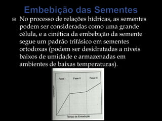    No processo de relações hídricas, as sementes
    podem ser consideradas como uma grande
    célula, e a cinética da embebição da semente
    segue um padrão trifásico em sementes
    ortodoxas (podem ser desidratadas a níveis
    baixos de umidade e armazenadas em
    ambientes de baixas temperaturas).
 