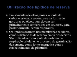    Em sementes de oleaginosas, a fonte de
    carbono estocada encontra-se na forma de
    gorduras ou óleos, que, devem ser
    primeiramente convertidos em açúcares, para
    posteriormente, serem respirados.
   Os lipídios ocorrem nas membranas celulares,
    como substâncias de reserva em vários tecidos.
    São utilizados como fonte de carbono na
    respiração celular e no processo de germinação
    da semente como fonte energética para o
    estabelecimento de plântulas.
 