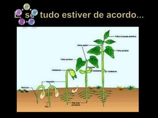 ÁGUA



                     OXIGÊ
LUZ
                      NIO




  REGUL
  ADORE           TEMPE
   S DO           RATUR
  CRESCI            A
  MENTO
 