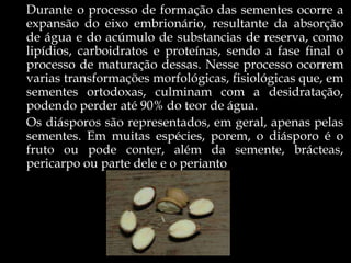 Durante o processo de formação das sementes ocorre a
expansão do eixo embrionário, resultante da absorção
de água e do acúmulo de substancias de reserva, como
lipídios, carboidratos e proteínas, sendo a fase final o
processo de maturação dessas. Nesse processo ocorrem
varias transformações morfológicas, fisiológicas que, em
sementes ortodoxas, culminam com a desidratação,
podendo perder até 90% do teor de água.
Os diásporos são representados, em geral, apenas pelas
sementes. Em muitas espécies, porem, o diásporo é o
fruto ou pode conter, além da semente, brácteas,
pericarpo ou parte dele e o perianto
 