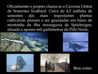 Oficialmente o projeto chama-se a Caverna Global
de Sementes Svalbard. Cerca de 4,5 milhões de
sementes das mais importantes plantas
cultiváveis passam a ser guardadas em baixo de
montanha da ilha norueguesa de Spitsbergen,
situada a apenas mil quilômetros do Pólo Norte.




                                     Bem como:
 