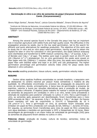 43
Germinação in vitro e ex vitro de sementes de pequi [Caryocar brasiliense
Camb. (Caryocaraceae)]
Breno Régis Santos1
, Renato Paiva2
, Leticia Caravita Abbade3
, Sinara Oliveira de Aquino1
1
Instituto de Ciências da Natureza, Universidade Federal de Alfenas, 37130-000 Alfenas – MG
2
Departamento de Biologia, Universidade Federal de Lavras, CP 3037, 37200-000 Lavras – MG
3
UNESP – Univ Estadual Paulista, Campus de Rio Claro - Departamento de Botânica, CP 199,
13506-900 Rio Claro – SP.
ABSTRACT
Among the several species found in the Cerrado the pequi tree has an important
role in brazilian agriculture with edible fruits and high quality wood. The difficulties in the
propagation process by seeds, due to the low seed germination, led to the search for
efficient and quick alternatives for seedlings production. The objective of this work was
to study the in vitro and ex vitro pequi seed germination, having as goal to obtain the
explant for later in vitro For cultivation in vitro germination, the seeds without endocarp
were disinfested and transferred to WPM medium containing 30g L-1
of sucrose, 0,5g L-1
of Benlate and 7,0g L-1
of agar. The bottles were kept in growth room at 25±1ºC and
16h (36 mol m-2
s-1
) photoperiod. For ex vitro germination the seeds were sowed on
filter paper with GA3 (500mg L-1
) solution. After this time, the seeds were transferred to
paper filter with distilled water and kept in at 25ºC and 16h photoperiod. The higher
germination percentage and germination velocity index (IVG) for pequi seeds were
obtained in vitro cultivation.
Key words: seedling production; tissue culture; seeds, germination velocity index
RESUMO
Dentre várias espécies frutíferas encontradas no cerrado brasileiro, o pequizeiro vem
se destacando no cenário nacional por possuir frutos comestíveis e madeira de alta
qualidade. As dificuldades encontradas no processo de propagação do pequizeiro por
meio de sementes, devido, principalmente, à baixa taxa de germinação e presença de
espinhos, valoriza a busca por soluções alternativas para a produção de mudas, de
maneira rápida e eficiente. O objetivo deste trabalho foi realizar o estudo da germinação
de sementes de pequizeiro em condições in vitro e ex vitro, tendo como precedente a
obtenção de explantes para posterior utilização no cultivo in vitro. Para a germinação in
vitro, as sementes após passarem por desinfestação, foram transferidas para o meio
WPM acrescido de 30g L-1
de sacarose, 0,5g L-1
de Benlate e 7,0g L-1
de ágar. Os frascos
foram mantidos em sala de crescimento a 25±1ºC e fotoperíodo de 16 h
(36 µmol.m-2
.s-1
). Para a germinação ex vitro, as sementes foram colocadas para
embeber em papel de filtro umedecido com solução de GA3 500mg L-1
, durante 24 horas.
Em seguida, as sementes foram transferidas para rolos de papel de filtro umedecidos
com água destilada e mantidos em germinador a 25ºC e fotoperíodo de 16 horas. Maior
percentagem de germinação e um maior índice de velocidade de germinação (IVG) para
as sementes de pequizeiro foram obtidos no cultivo in vitro.
Palavras chave: produção de mudas; cultura de tecidos; sementes; índice de
velocidade de germinação
Naturalia (eISSN:2177-0727) Rio Claro, v.34, p. 43-47, 2011
 