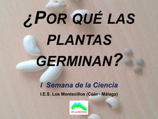 ¿POR QUÉ LAS
    PLANTAS
 GERMINAN?
 I Semana de la Ciencia
 I.E.S. Los Montecillos (Coín - Málaga)
 