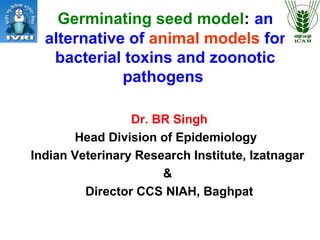 Germinating seed model: an
alternative of animal models for
bacterial toxins and zoonotic
pathogens
Dr. BR Singh
Head Division of Epidemiology
Indian Veterinary Research Institute, Izatnagar
&
Director CCS NIAH, Baghpat
 