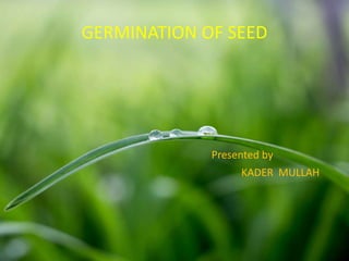 GERMINATION OF SEED
Presented by
KADER MULLAH
 