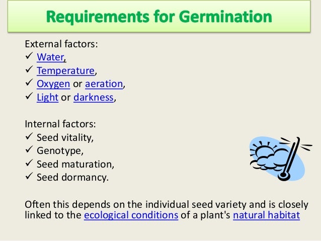 5 conditions necessary for germination picture