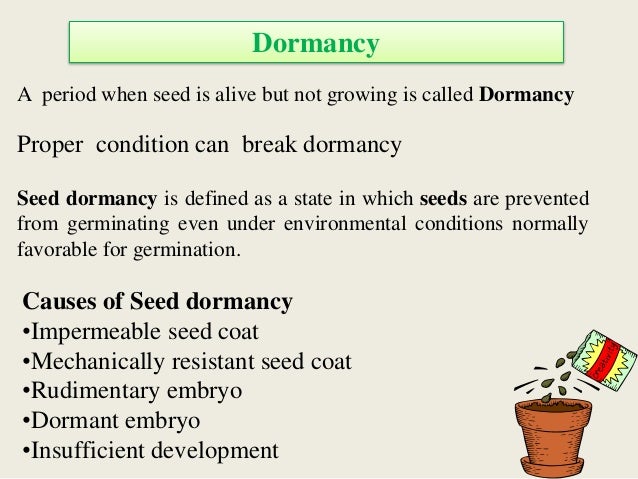 Germination Ppt Final