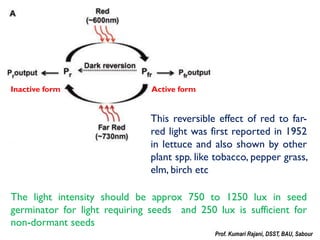 Seed Germination Testing.pdf