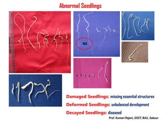 Seed Germination Testing.pdf