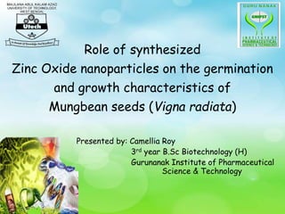 Role of synthesized
Zinc Oxide nanoparticles on the germination
and growth characteristics of
Mungbean seeds (Vigna radiata)
Presented by: Camellia Roy
3rd year B.Sc Biotechnology (H)
Gurunanak Institute of Pharmaceutical
Science & Technology
 