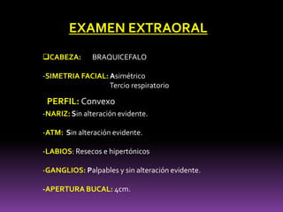 EXAMEN EXTRAORAL
CABEZA: BRAQUICEFALO
-SIMETRIA FACIAL: Asimétrico
Tercio respiratorio
-NARIZ: Sin alteración evidente.
-ATM: Sin alteración evidente.
-LABIOS: Resecos e hipertónicos
-GANGLIOS: Palpables y sin alteración evidente.
-APERTURA BUCAL: 4cm.
PERFIL: Convexo
 
