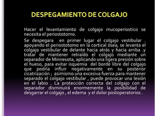 Hacer el levantamiento de colgajo mucoperiostico se
necesita el periostotomo.
Se despegara en primer lugar el colgajo vestibular .
apoyando el periostotomo en la cortical ósea, se levanta el
colgajo vestibular de delante hacia atrás y hacia arriba .y
tratar de mantener retraído el colgajo mediante un
separador de Minnesota, aplicando una ligera presión sobre
el hueso, para evitar isquemia del borde libre del colgajo
que podría influir negativamente en su posterior
cicatrización ; asimismo una excesiva fuerza para mantener
separado el colgajo vestibular , puede provocar una lesión
en el labio . La protección correcta del colgajo con el
separador disminuirá enormemente la posibilidad de
desgarrar el colgajo , el edema y el dolor postoperatorios .
 