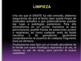 Una vez que el DIENTE ha sido extraído, debemos
asegurarnos de que el lecho óseo queda limpio de
materiales extraños o que potencialmente puedan
dar lugar a patologías posteriores. Para ello
eliminaremos en un primer momento el saco
pericoronario, posible fuente de posteriores quistes
o neoplasias, así como cualquier resto de tejido
necrótico o de granulación. Igualmente
comprobaremos la ausencia de cualquier fragmento
óseo y/o dentario.
Finalizaremos esta fase con un lavado abundante de
la herida con suero fisiológico aspirando a la vez, al
menos un par de veces, para permitir la buena
visibilidad .
LIMPIEZA
 
