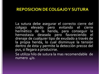La sutura debe asegurar el correcto cierre del
colgajo elevado pero evitando el cierre
hermético de la herida, para conseguir la
hemostasia deseada pero favoreciendo el
drenaje de cualquier tipo de exudado a través de
la propia herida, lo cual disminuye la tensión
dentro de ésta y permite la detección precoz del
pus, si llegara a producirse.
Se utiliza hilo de sutura la mas recomendable de
numero 4/0.
REPOSICION DE COLGAJOY SUTURA
 