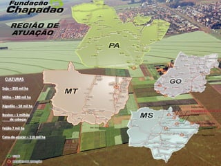 CULTURAS
Soja – 350 mil ha
Milho – 180 mil ha
Algodão – 50 mil ha
Bovino – 1 milhão
de cabeças
Feijão 7 mil ha
Cana-de-açucar – 110 mil ha
 